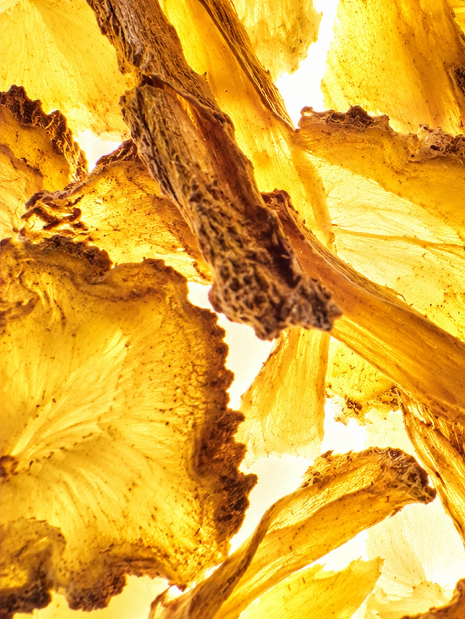 Coptis Japonica Extract